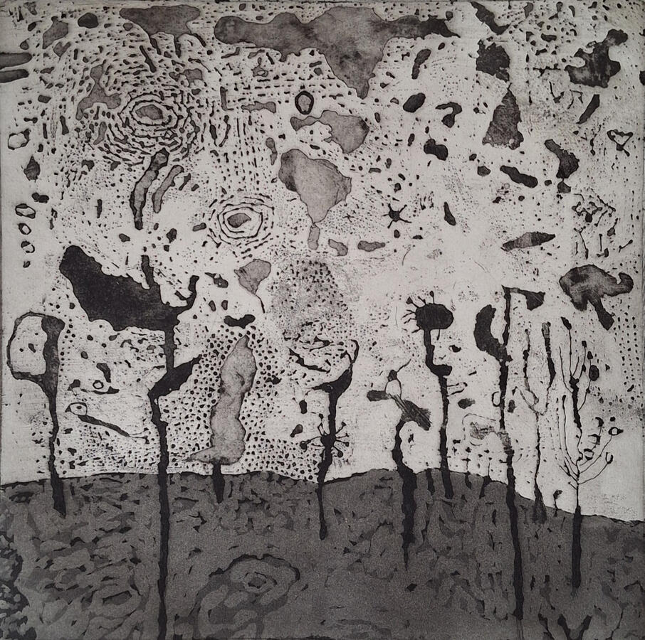 A Forest Hidden in Light, 25x25cm, Etching